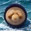 伟德体育用户王浩宇头像